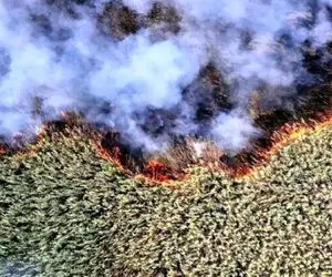 آتش‌سوزی در تالاب هورالعظیم؛ آلودگی شدید هوای هویزه