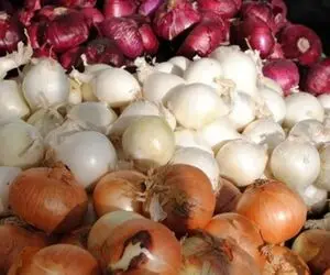 ترفندهای خانه داری؛ پیاز برش خورده، آبپز و سرخ شده چند روز سالم می ماند؟ روش نگهداری