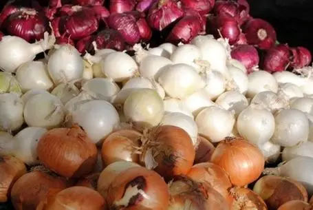 ترفندهای خانه داری؛ پیاز برش خورده، آبپز و سرخ شده چند روز سالم می ماند؟ روش نگهداری