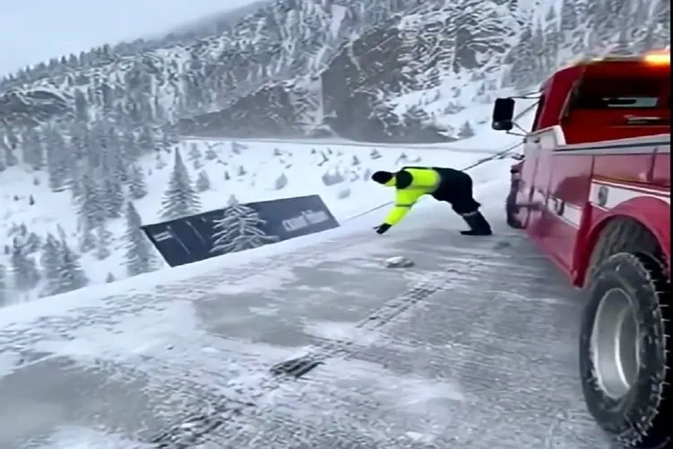 معماری طبیعت؛ آقاهه برای مردن عجله داشت روحش شاد