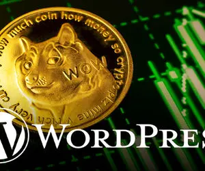 دلیل استفاده  پررنگ از دوج کوین چیست؟