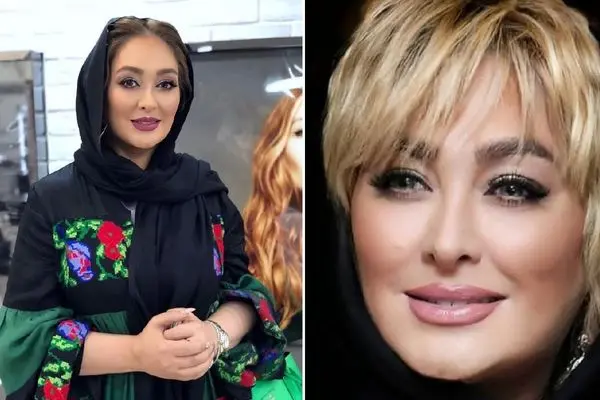 elham hamidi shayanews