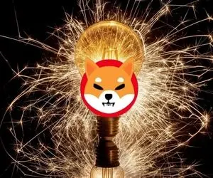 حرکت خارق العاده ازشیبااینو!!