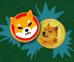 چرا سرمایه گذاران دوج کوین و شیبا تاما می خرند؟!