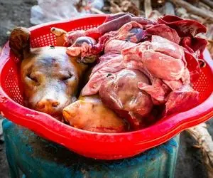 کباب سگ / آماده سازی کله پاچه سگ در حال کباب شدن برای سود آوری