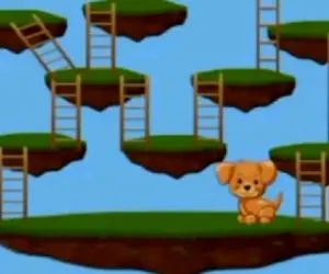 بازی فکری؛ از1000نفر999نفر گیرپاژ میکنن نمیتونن بگن سگ با چند نردبون به استخوان میرسه