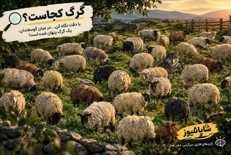 بازی فکری؛ بین گله گوسفندها گرگ را پیدا کن!