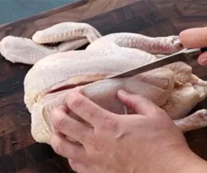 جدیدترین قیمت مرغ در بازار