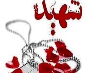 شهادت ۲ رزمنده ایرانی در تدمر سوریه