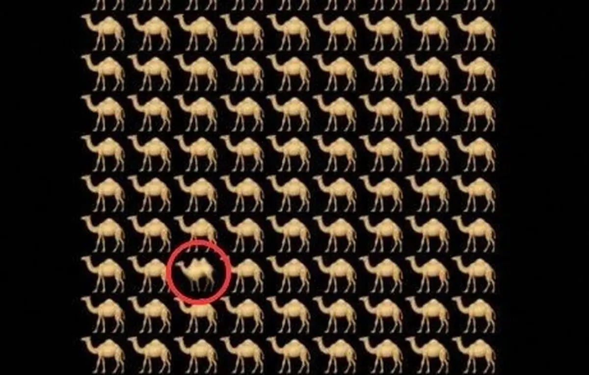 قب