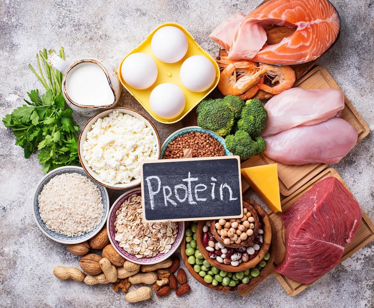 Protein