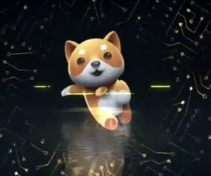 دلیل اومدن بیبی دوج چیست؟