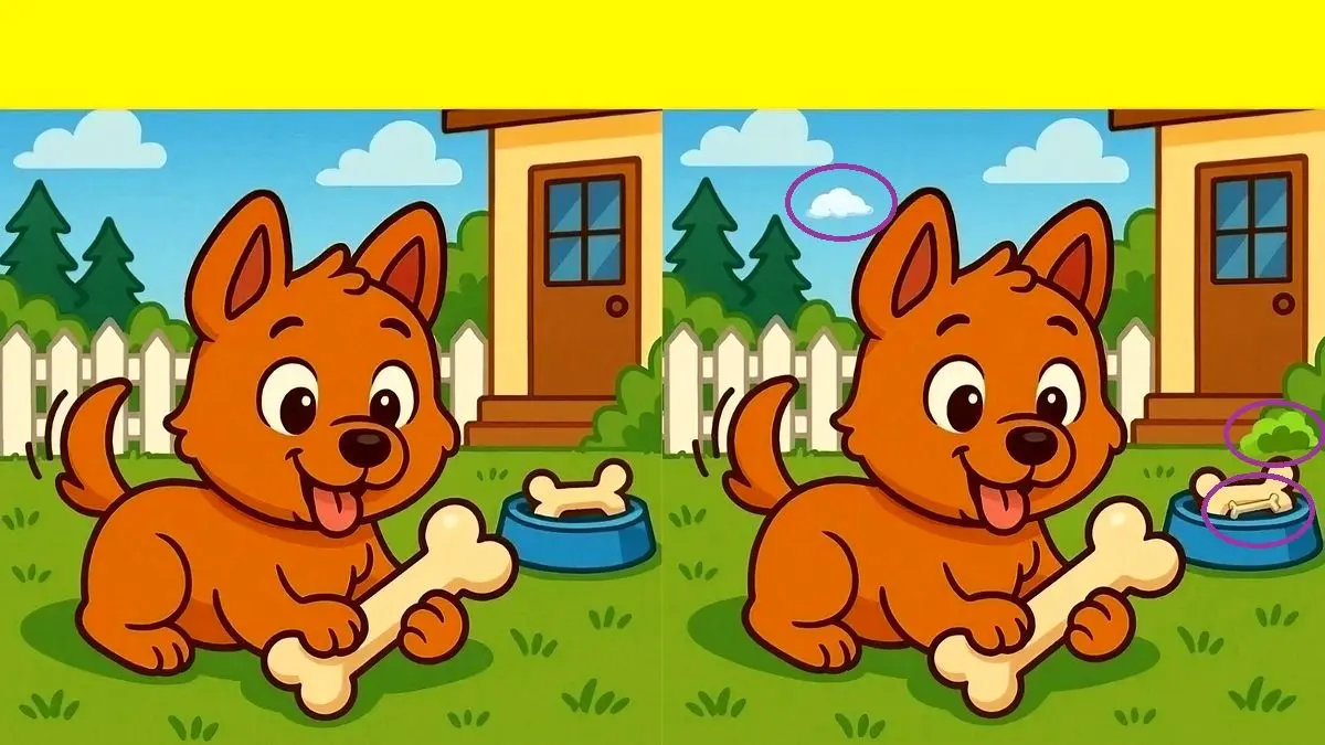 پاسخ-تفاوت-تصویری-توله-سگ-با-استخوان