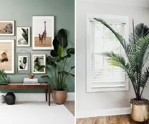 گیاه های همیشه سبز / چهار فصل سال رو مهمون طبیعت باش گوشه ی خونت با این سبزای قشنگ