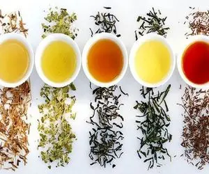 دمنوش هایی که باید پوستتان بخورید؛ اگه میخوای پوستت مثل پوست بچه نرم بشه برو تو کارشون