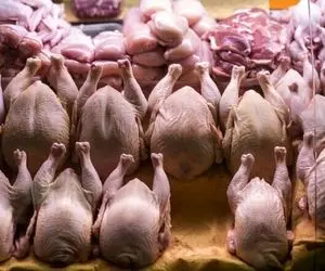 تا این تاریخ منتظر افزایش ۱۵ درصدی قیمت مرغ باشید