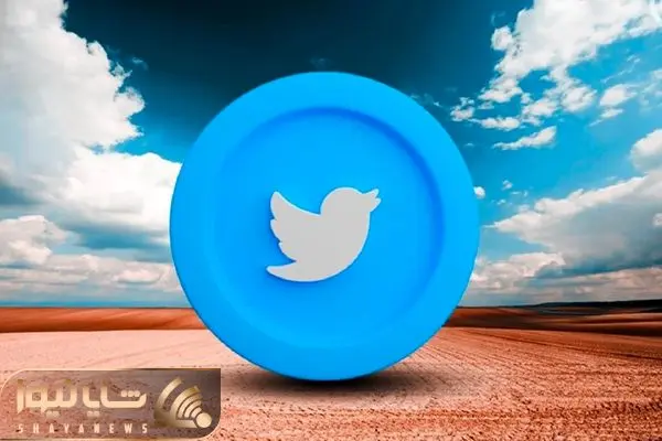 Twitter Coins