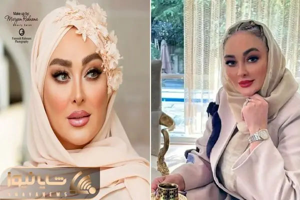 ELHAM-HAMIDI SHAYANEWS