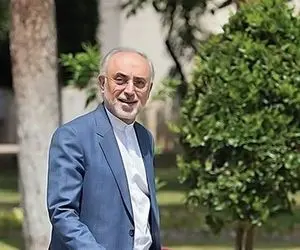  علی اکبر صالحی: فعلاً تصمیم قطعی برای کاندیداتوری انتخابات ۱۴۰۰ نگرفته‌ام