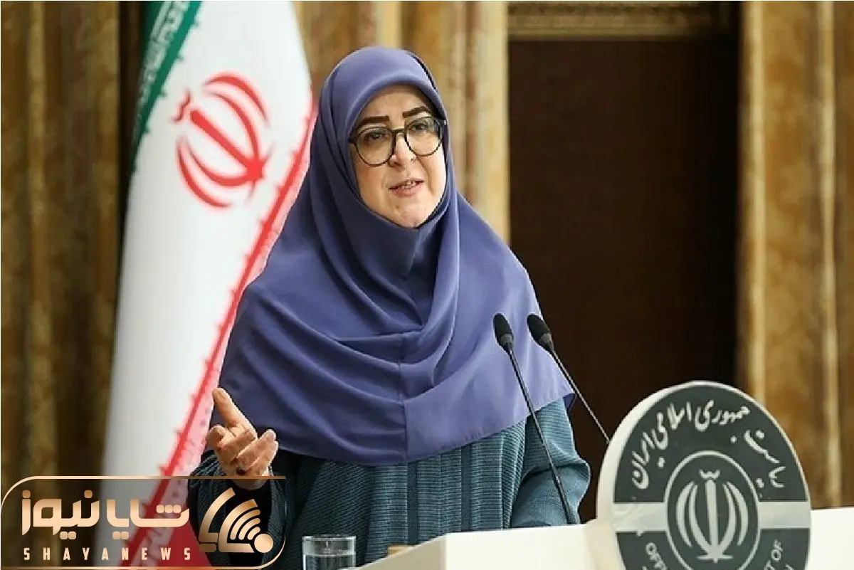 سخنگوی دولت: تلاش دولت چهاردهم برای کاهش تورم است