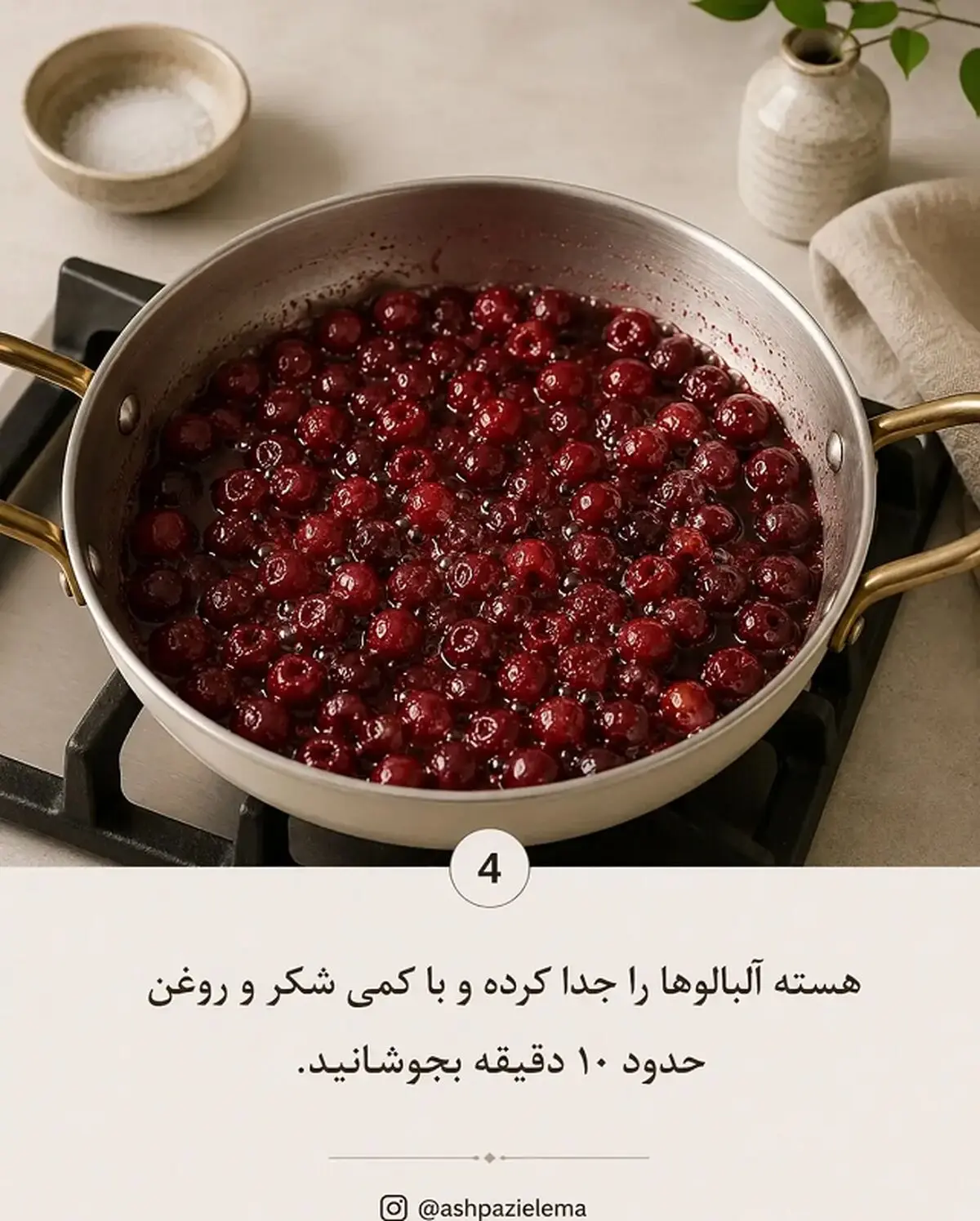 آلبالو پلو 4