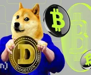 علت موشک اندازی دوج کوین و همکارانش؟