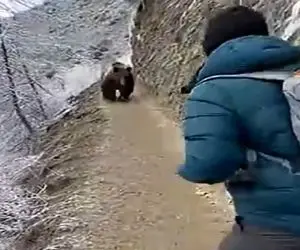معماری طبیعت؛ مرد کاری کرد خرس نگون بخت خودکشی کنه