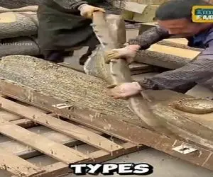 معماری خلاقانه؛ چین انقد وزه اس با سیمان نرده طرح چوب زد اصلا باورت نمیشه واقعی نباشه