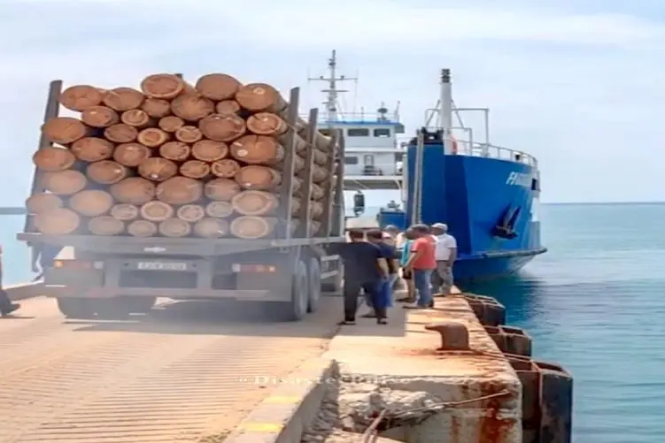 معماری طبیعت؛ راننده هوس آب تنی زد به سرش ولی حواسش نبود پشت فرمونه خودشو بدبخت کرد