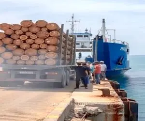 معماری طبیعت؛ راننده هوس آب تنی زد به سرش ولی حواسش نبود پشت فرمونه خودشو بدبخت کرد