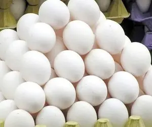 شوک قیمتی به بازار تخم‌مرغ رسید؛ قیمت هر شانه تخم‌مرغ ۴۲۰۰۰۰ تومان می‌شود؟