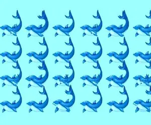 بازی فکری؛اگه ضریب هوشیت در حد انیشتن یاالله تعداد دلفین ها رو بگو