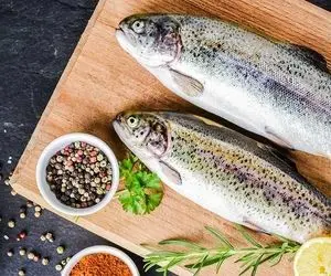 چگونه ماهی قزل آلا را برای طولانی مدت در یخچال نگهداری کنیم؟