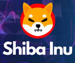 شیبااینو با حرکتش کاربران را زیروروکرد؟!