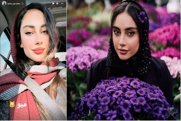 tarlan parvaneh shayanews