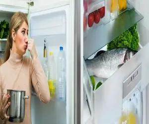 ماهی تازه رو چطوری نگه داریم که یخچال بو نگیره؟/ ترفند طلایی نگهداری ماهی بدون بوی بد