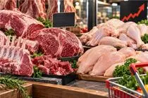 قیمت گوشت قرمز امروز سه شنبه 31 شهریور 1405/ قیمت هر کیلو گوشت باید چقدر باشد؟