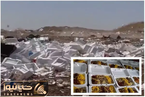 رها کردن زباله در طبیعت