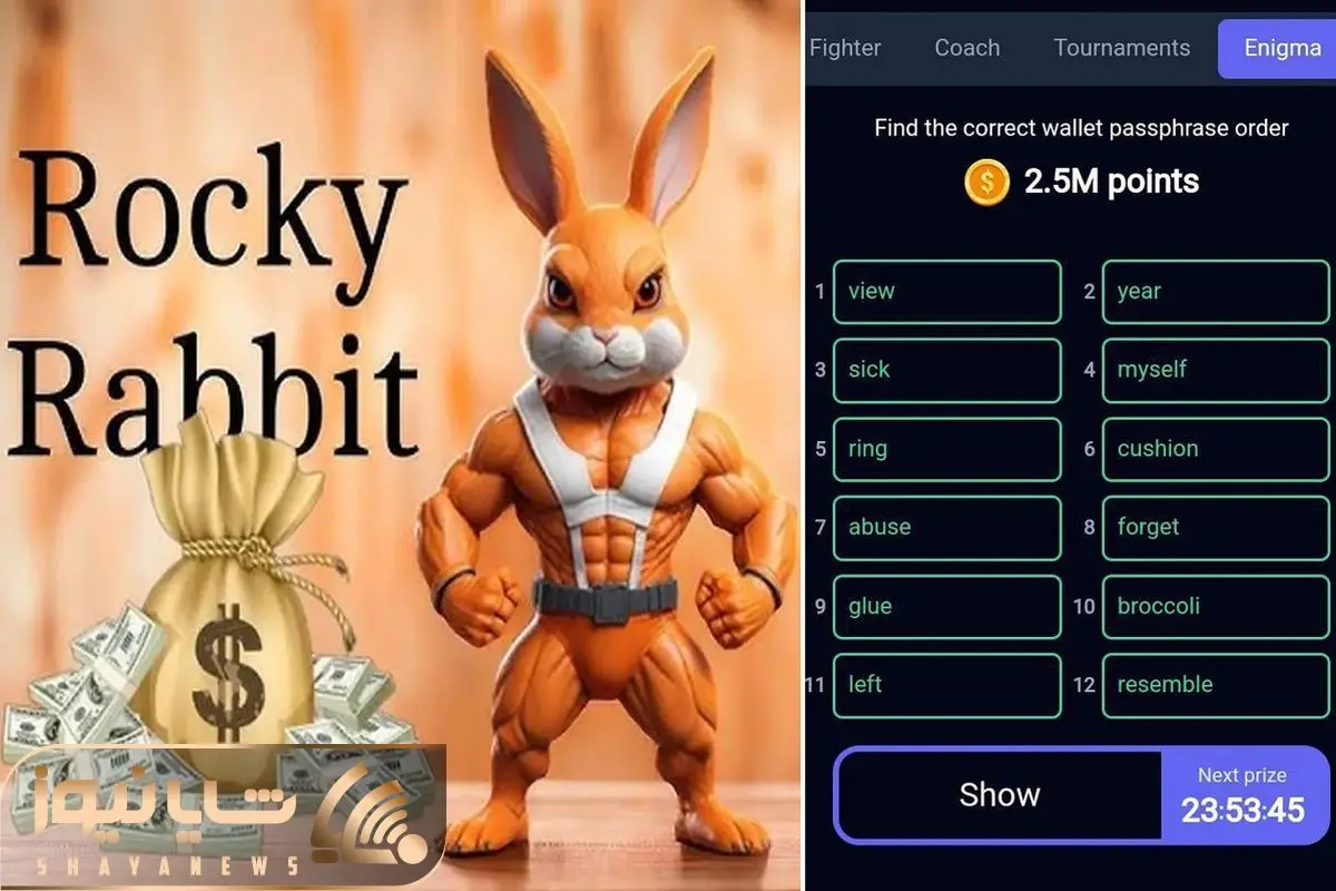 کد انیگما راکی رابیت (rocky rabbit) امروز جمعه ۲ شهریور + آمووزش وارد کردن