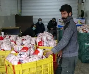 سه پیش‌بینی از قیمت مرغ؛ ۷۲، ۸۸ یا ۹۰ هزار تومان به ازای هر کیلو!