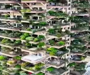 معماری خلاقانه؛ ساختمون های درختی ساختن اکسیژن شهر دستشونه مردمم انگار کلا تو شمالن