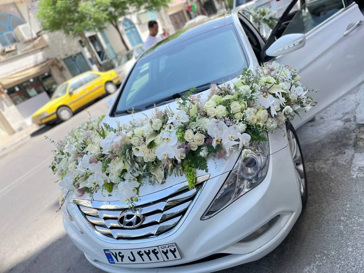 عروس11