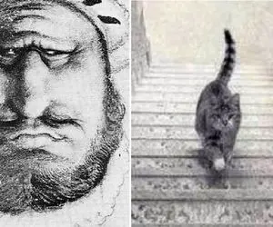 خطای دید هایی که تا جوابشونو نبینی فیوزای مغزت سرجاشون نمیشینن / هم جالبن هم رو مخ