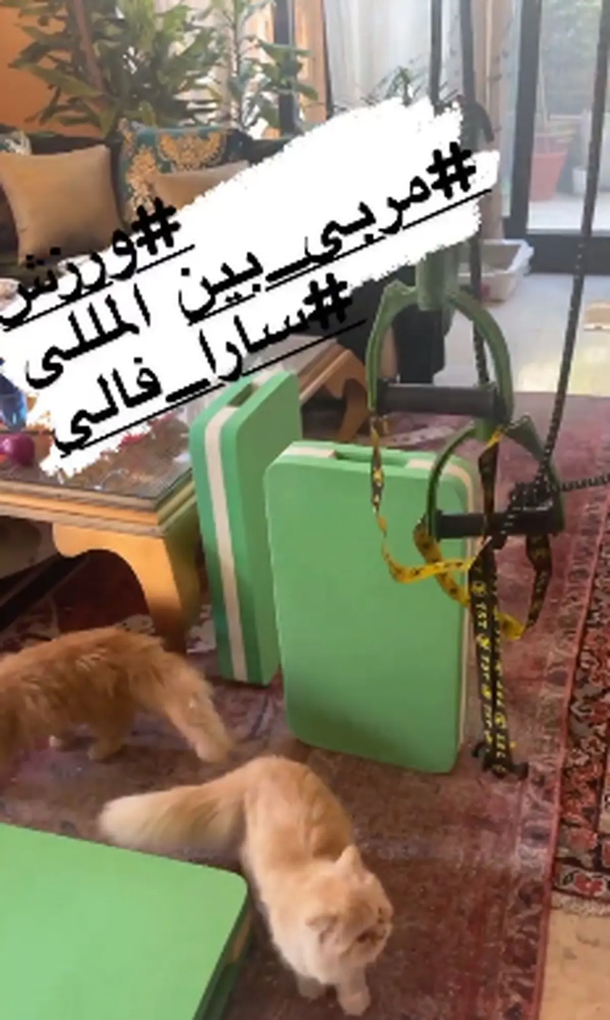 بهاره رهنما
