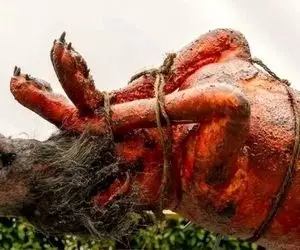 کباب سگ؛ سگ وحشی نازنازی و تو سلاخخونه از قفا گردن زد اسه استیک