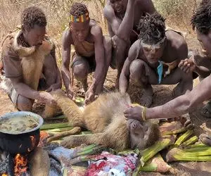 جنگجویان طبیعت؛ بربرهای برهنه برای صبحانه میمون دیلاقو جوشوندن و ساطوری کردن