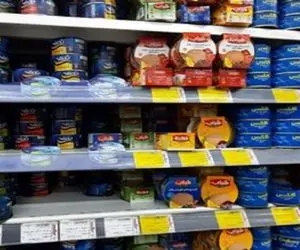 قیمت عجیب برای یک تن ماهی؛ چخبره؟!