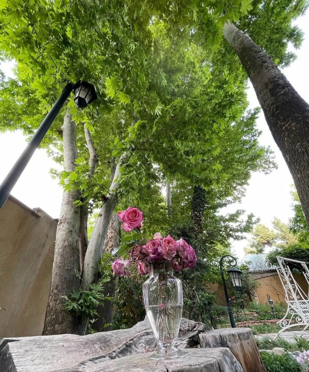ساره بیات بازیگر