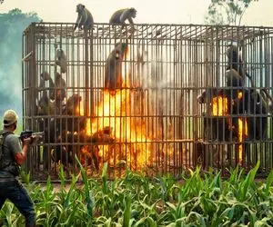 صحنه دهشتناک؛ کشاورزا میمون ها و گرازها رو ریختن تو قفس نفت ریختن آتیش زدن