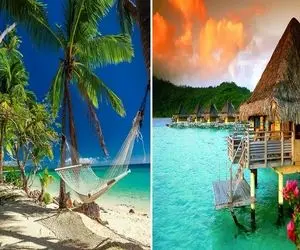 با تور فیجی پول یه جزیره رو میدی نهصدتاشو میبینی! / ریز به ریز هزینه هاشم گفتیم برات